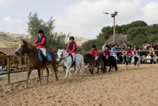 Con caballos y ponys